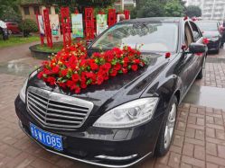 -蚂蚁婚车