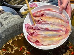 -石锅苗苗鱼(武汉首店)
