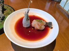 -觀芷隐轩