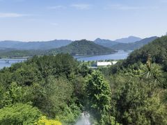 -宝荣鱼馆·临湖之宴(千岛湖店)