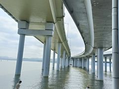 -深圳湾公园(南山区)