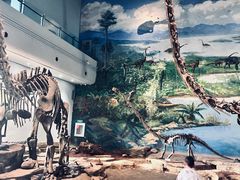 -自贡恐龙博物馆