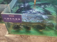 -鱼你相聚·河鲜馆(袁家岭店)