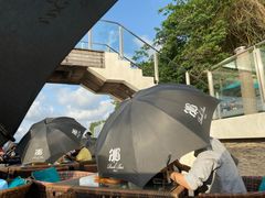 -Rock Bar Bali(Bali)