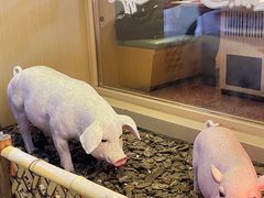 -山河屯铁锅炖(哈西站店)