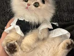 -荔康动物医院(康王北路店)