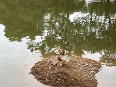 -阿育王寺