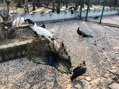 -南京金牛湖风景区