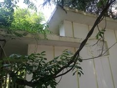 -中国科技大学-专家楼食堂