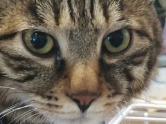 -远洋未来广场(育慧北路店)