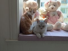 -大桶大足浴(南翔店)