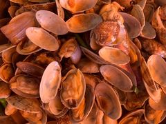 -胜海大排档·海鲜·黄鳝饭(十年老店)