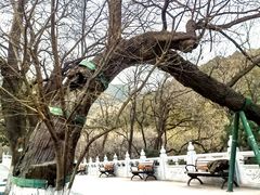 -八大处公园
