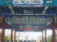 -莲花池公园