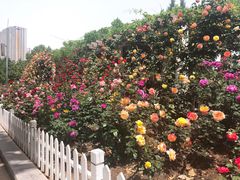 -郑州植物园