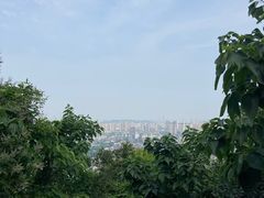 -灵岩山风景区