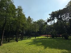 -晓港公园