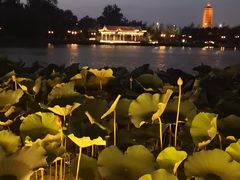 -西海子公园