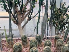 -郑州植物园