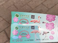 -昆明动物园