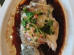 清蒸鲈鱼-南来顺饭庄·清真(南菜园店)