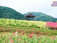 -径山花海