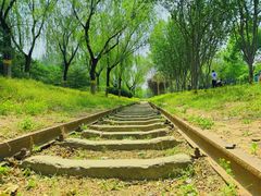 -永定河休闲森林公园