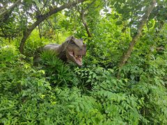 -海南热带野生动植物园