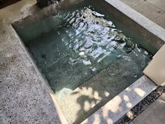 -成都院坝精品私汤民宿酒店