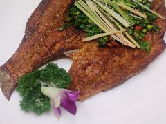 丽江纳西烤鱼-香巴拉云南餐厅(华莱坞店)