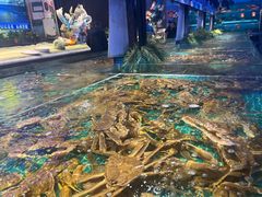 -驻海渔市(置信店)