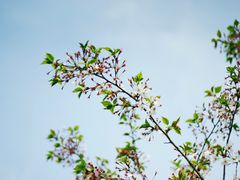 -爱啤精酿·民谣酒馆(滨江店)