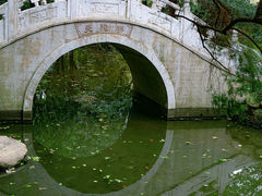 -金花茶公园