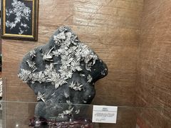 -贵州省地质博物馆