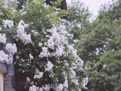 -颐和路民国时期公馆风貌区