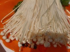 -德龙火锅(松源街直营店)