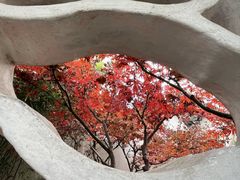 -沧浪亭