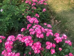 -白塘生态植物园