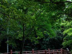 -紫霞湖公园