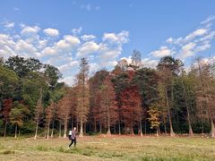 -广州市白云山风景名胜区