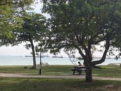 -东海岸人工湖美食村