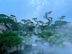 -罗红摄影艺术馆