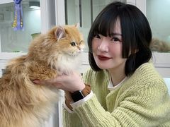 -青奢宠物·青奢猫舍