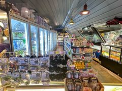 -枫花园汽车电影院(朝阳公园店)