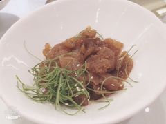 老醋海蜇头-骏莱海鲜鱼港(五角场店)