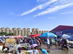 -南戴河海滨市场