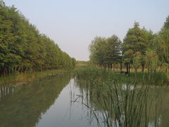 -柳鹭田园区