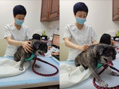 -美联众合动物医院·24h转诊中心