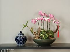 -狮王府淮扬菜(老门东店)