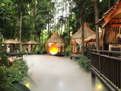 -二荆条·蜀鲜汇城市森林火锅